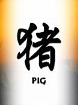 pic for Pig chinese